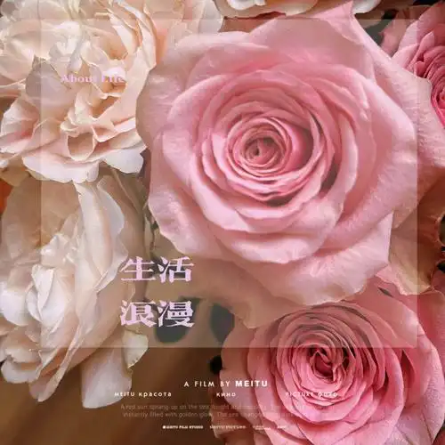 奶茶玫瑰粉色的荧光#荧光玫瑰开成饼的火灵鸟#火灵鸟玫瑰火灵鸟黄期