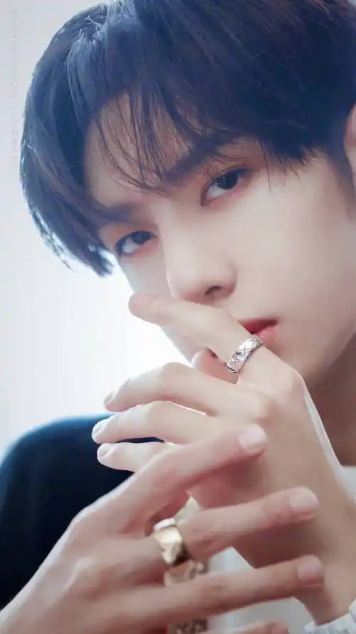 洛阳白牡丹,王甜甜,耶啵,王小博,蓝忘机,蓝湛,蓝二