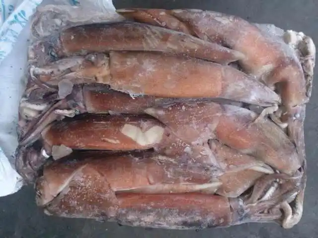 high quality frozen indian ocean squid tentacle price