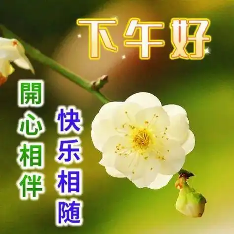 下午好图片大全,下午好祝福,祝顺心如意|快乐|甜蜜|灿烂|幸福_网易