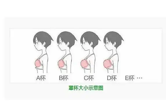 罩杯abcd怎么分大小:不同罩杯的相当于哪种水果(测量很简单)
