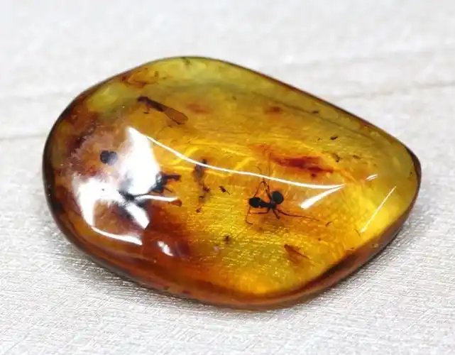 纯天然琥珀原石 无优化乌克兰虫珀 琥珀原石价格