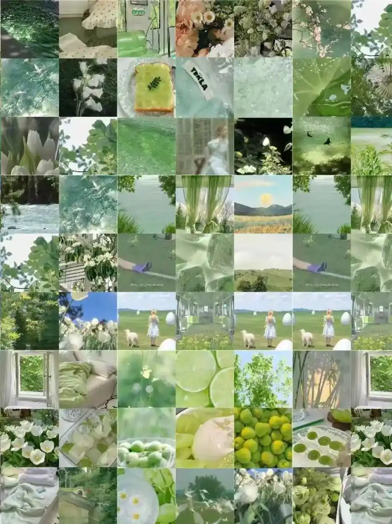 被追问n次的多图拼图方法!照片太多这样做.假期旅游照片太多了 - 抖音