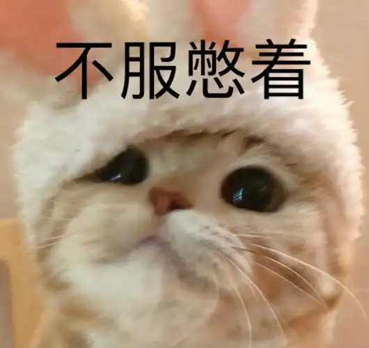 萌宠猫星人不服憋着生气搞怪呆萌gif动图_动态图_表情包下载_soogif