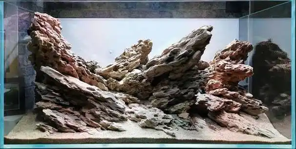 草缸造景,法式浪漫,让心灵沉醉于绿意之间