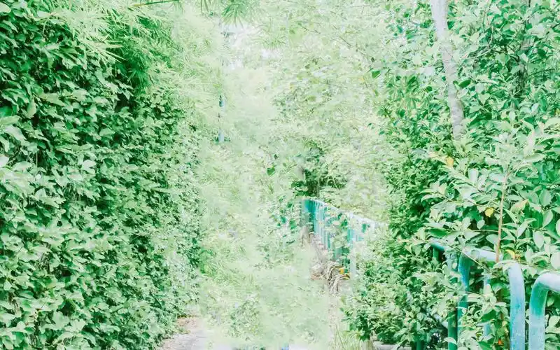 夏日日系小清新街道唯美高清桌面壁纸