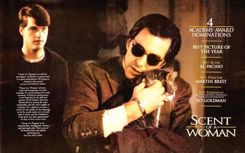 片段闻香识女人