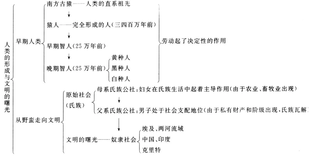 九年级历史上册 第一单元《史前时期的人类》复习教案 川教版 川教版