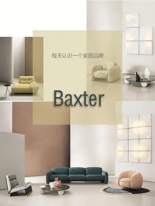 06每天认识一个家具品牌08baxter