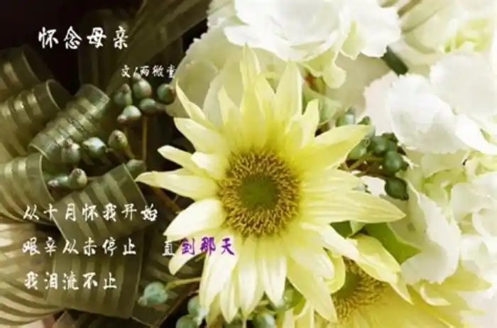 去世天堂一路走好图片天堂的路愿您一路走好