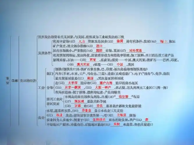 2016届高考地理第一轮总复习 第十三单元 第一讲 东亚和东南亚课件