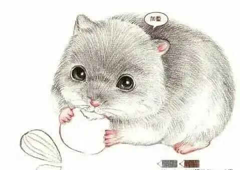 素描动漫班课件:萌萌哒小仓鼠