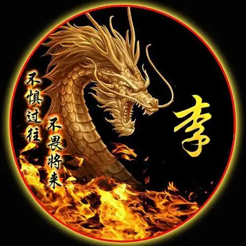 龙姓图片大全好看图片头像不惧过往不畏将来