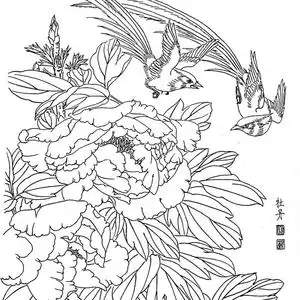 工笔画白描底稿初学者荷花鸟上色步骤勾线熟宣纸毛笔颜料套装百花