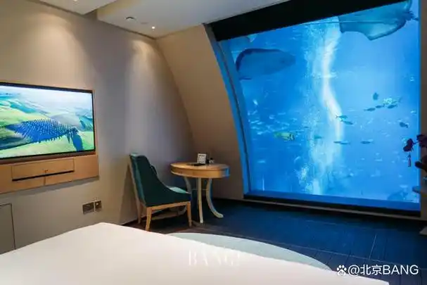 跟海豚跳舞海底生物一起入眠我发现爱夏一族的梦中情岛