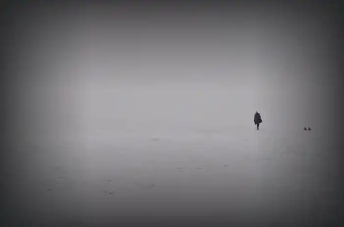 转过了几个山口,我们翻越到山的另一面,雪也越来越大,车窗外面也变得