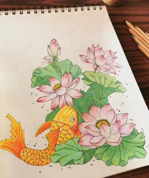 疫情在家画画使人静心临摹@你菩提姐姐#好运锦鲤  #彩铅手绘  #彩铅