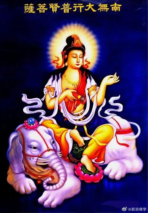 【恭迎普贤菩萨圣诞】恭迎农历二月二十一,#佛教纪念日#普贤菩萨圣诞.
