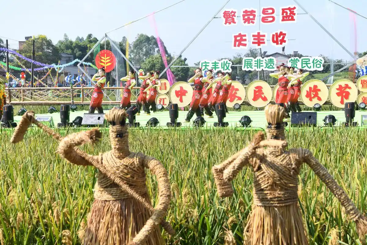 稻田里过丰收节