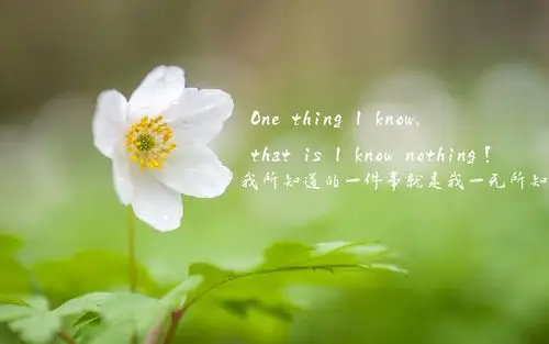 励志英文文字高清桌面壁纸 _ 励志英文文字高清桌面壁纸[图片专辑] _