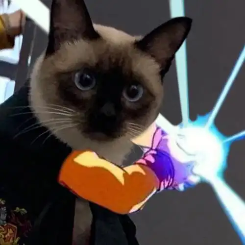 只会龟派气功的暹罗,最后一张是动图#我家宠物好可爱  #暹罗猫表情包