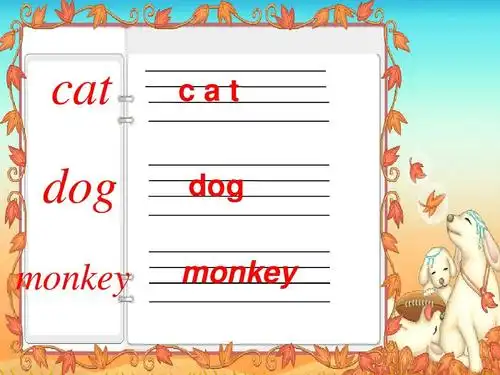 cat cat dog monkey dog monkey