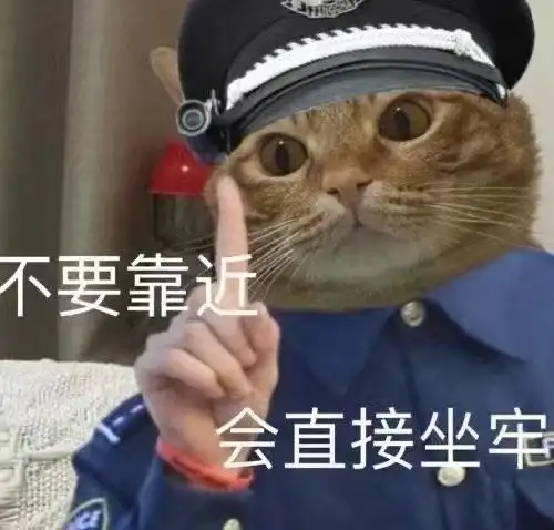 不要靠近会直接坐牢(猫咪表情包)_坐牢_猫咪表情