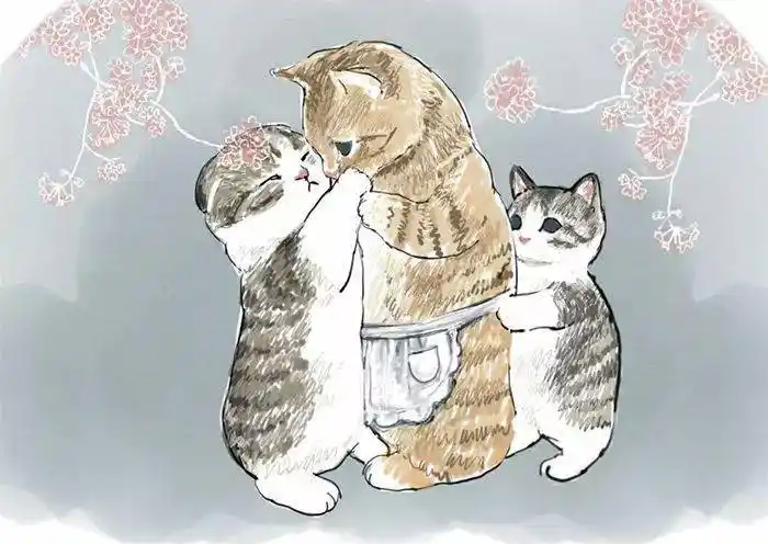 在量腰围的猫咪美容猫咪