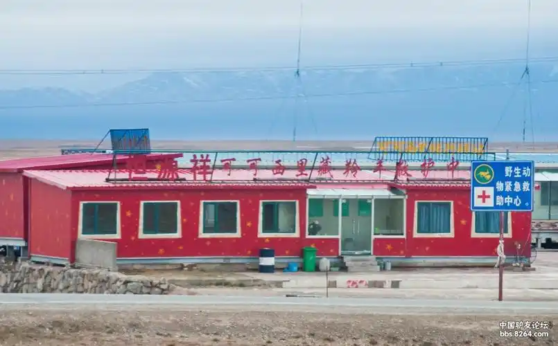 过了不冻泉,铁路与公路几乎是平行地穿行于广袤的可可西里保护区.