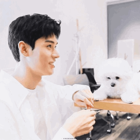 一袭白衣的他与小白狗的亲密互动,眉眼间这温柔的眼神狙击,请问这宠溺