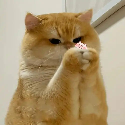 爱情,是人生中最迷人,最动人的情感之一_鸡汤_伤害_来自