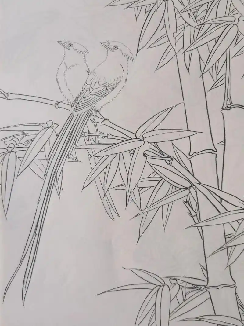 工笔绘画～花鸟(图片)