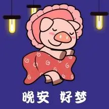 萌猪晚安睡觉简约表情包