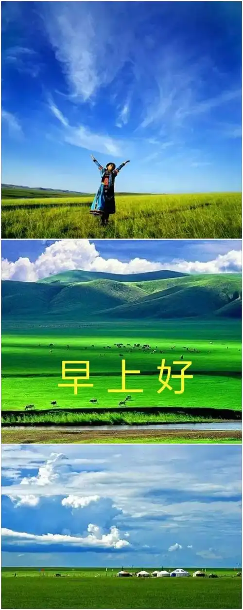 早上好一一十五集