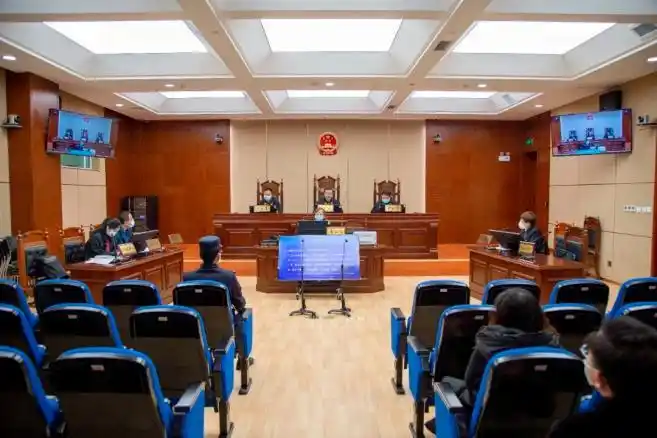 院长开庭审理案件庭审网络直播落实司法普法责任