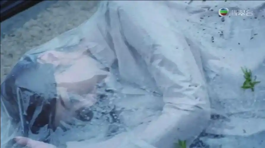 tvb小花法证先锋iv演女尸曾在深宫计出场几秒