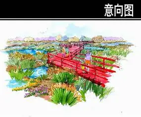 某生态公园观鸟木栈道手绘图