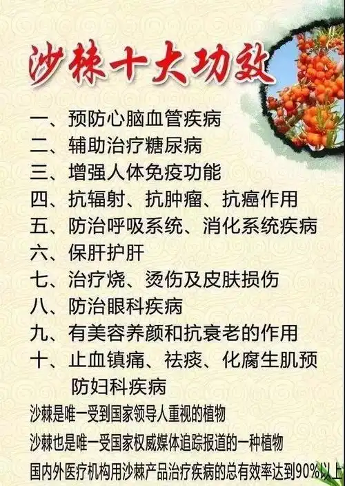 沙棘的作用(沙棘原浆的作用与功效)