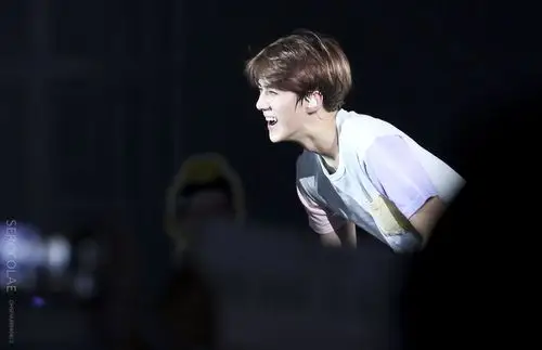 吴世勋 高清 意境 手机壁纸 电脑壁纸 【网络收图 侵权立删】