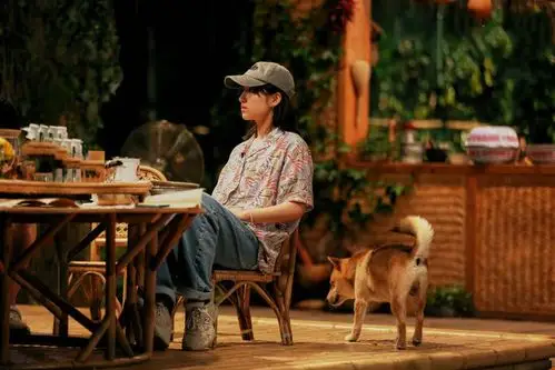 原创《向往的生活》收官,宋丹丹为节目保持最后颜面,这一季四大争议