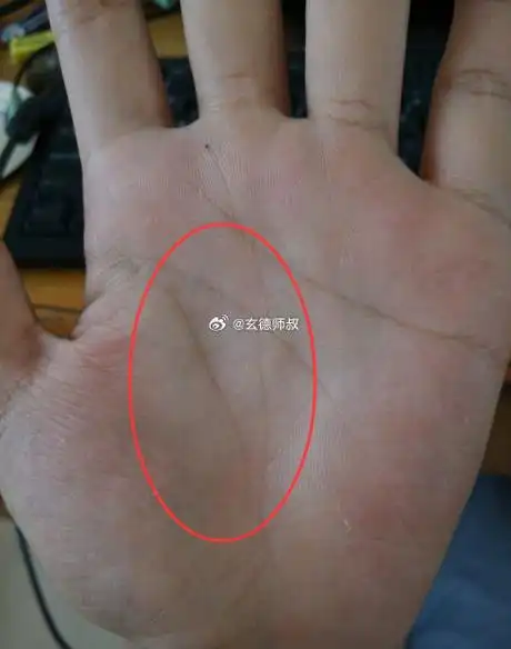 属于吉利的线纹,分外在手的中心若是有大的三角纹,是非常好的手相