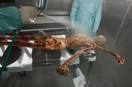 阿尔卑斯山神秘千年冰尸发现过程揭秘(组图)