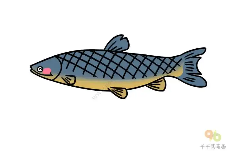草鱼简笔画图片大全可爱又简单