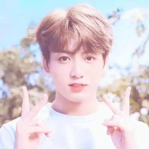 防弹少年团/田柾国头像