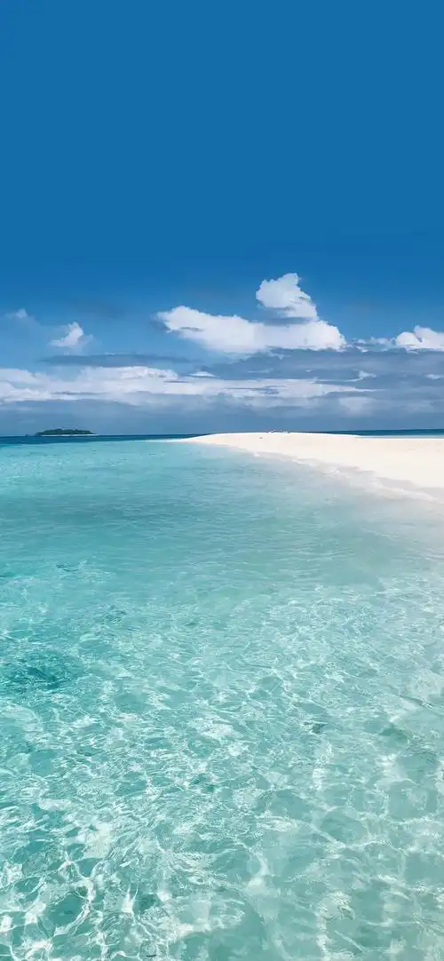 手机壁纸唯美简约干净