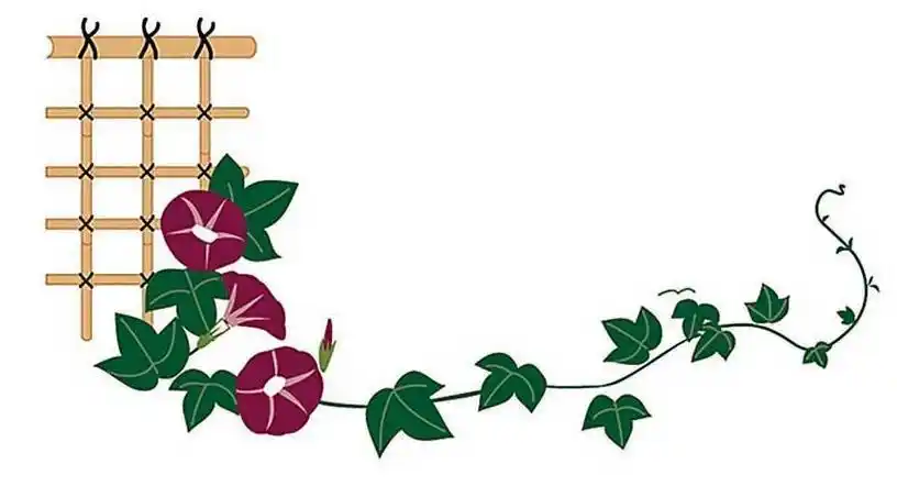 手抄报花边图案手抄报花边图案大全简单漂亮