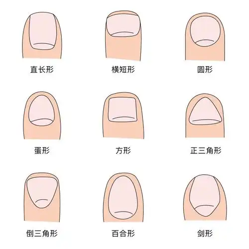 你的指甲形状最适合做哪种美甲? - 美甲美睫
