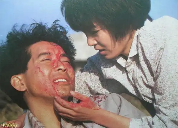 海鸥飞处彩云飞剧照