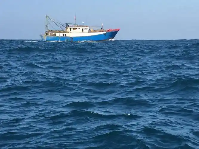 海洋在哭泣——今天(3月30日)多艘无船号违法拖网船,疯狂横扫文昌沿海