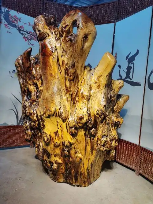 大型天然树根椅子根雕背椅原木凳子茶几茶台根雕凳子